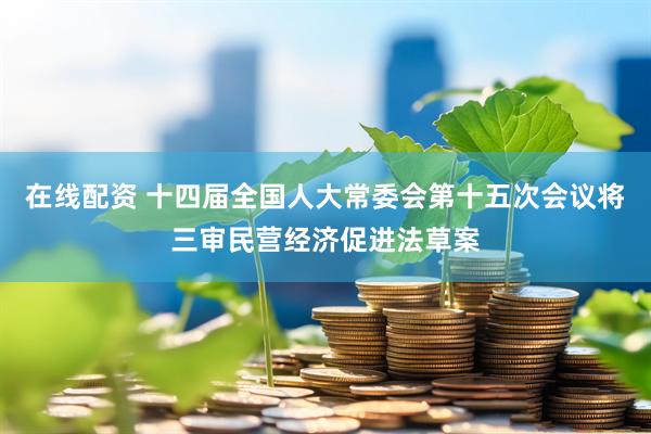 在线配资 十四届全国人大常委会第十五次会议将三审民营经济促进法草案