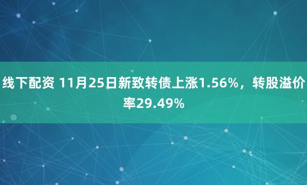 线下配资 11月25日新致转债上涨1.56%，转股溢价率29.49%