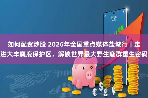 如何配资炒股 2026年全国重点媒体盐城行｜走进大丰麋鹿保护区，解锁世界最大野生鹿群重生密码